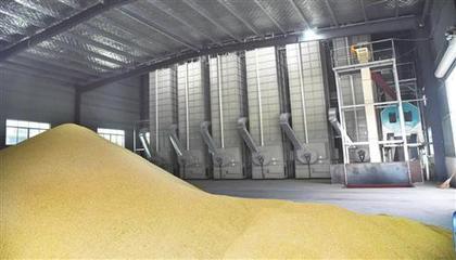 糧食烘干機(jī) 農(nóng)業(yè)機(jī)械行業(yè)的下一個(gè)萬億級藍(lán)海